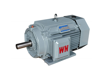 YE5系(xi)列三相異步電(dian)動機