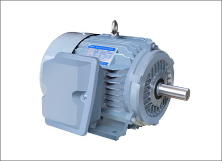 NE系列(liè)高效高轉(zhuan)矩三相異(yi)步電動機(jī)