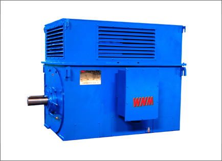 Y系列高壓(yā)高效三相異步(bù)電動機