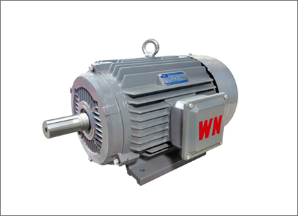 YE3系列超高(gāo)效三相異步(bù)電動機
