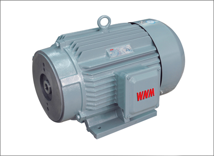 YYB系列(liè)油泵專(zhuan)用三相(xiang)異步電(diàn)動機