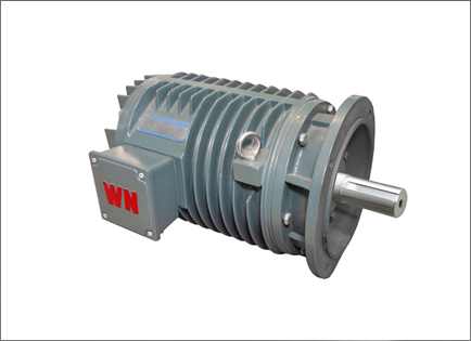 YG系列輥道用(yong)調速三相異步電(diàn)動機