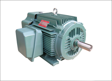 NEP系列(lie)超高效率三相異(yì)步電動機