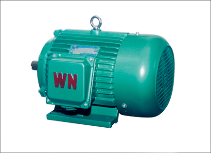 YDT系(xì)列變多速三相異(yì)步電動機