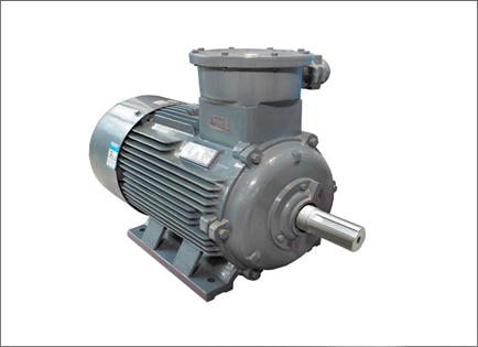 YBX3系(xì)列高效率(lǜ)隔爆型三(san)相異步電(dian)動機