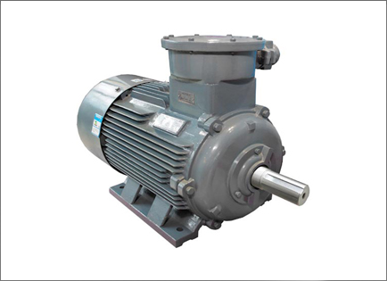 YBX4系列超(chāo)高效率隔爆型(xíng)三相異步電動(dong)機