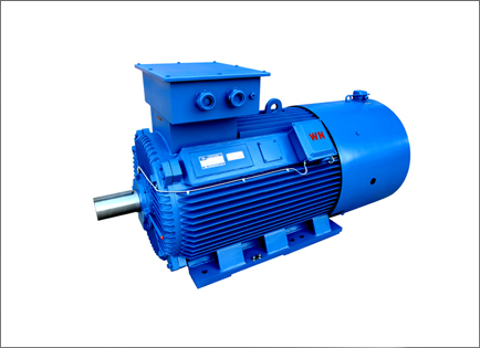 YLVF低壓大功(gōng)率變頻電動(dong)機