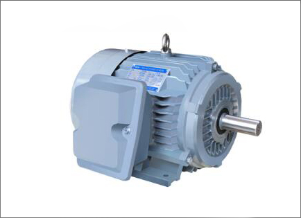 NE系列(lie)高效高轉矩三相(xiàng)異步電動機