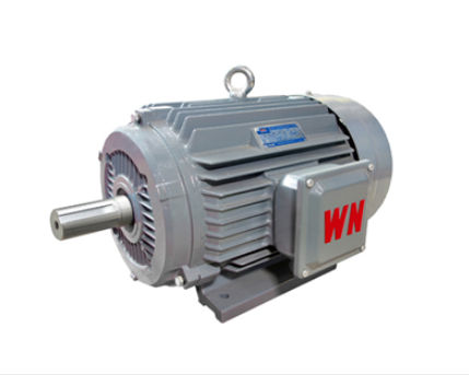 如何确定高(gao)效節能電機軸(zhóu)承更換時間