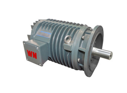 YG系(xi)列輥道用(yòng)調速三相(xiàng)異步電動(dòng)機