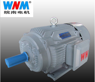 變(bian)頻電機優點(dian)有哪些